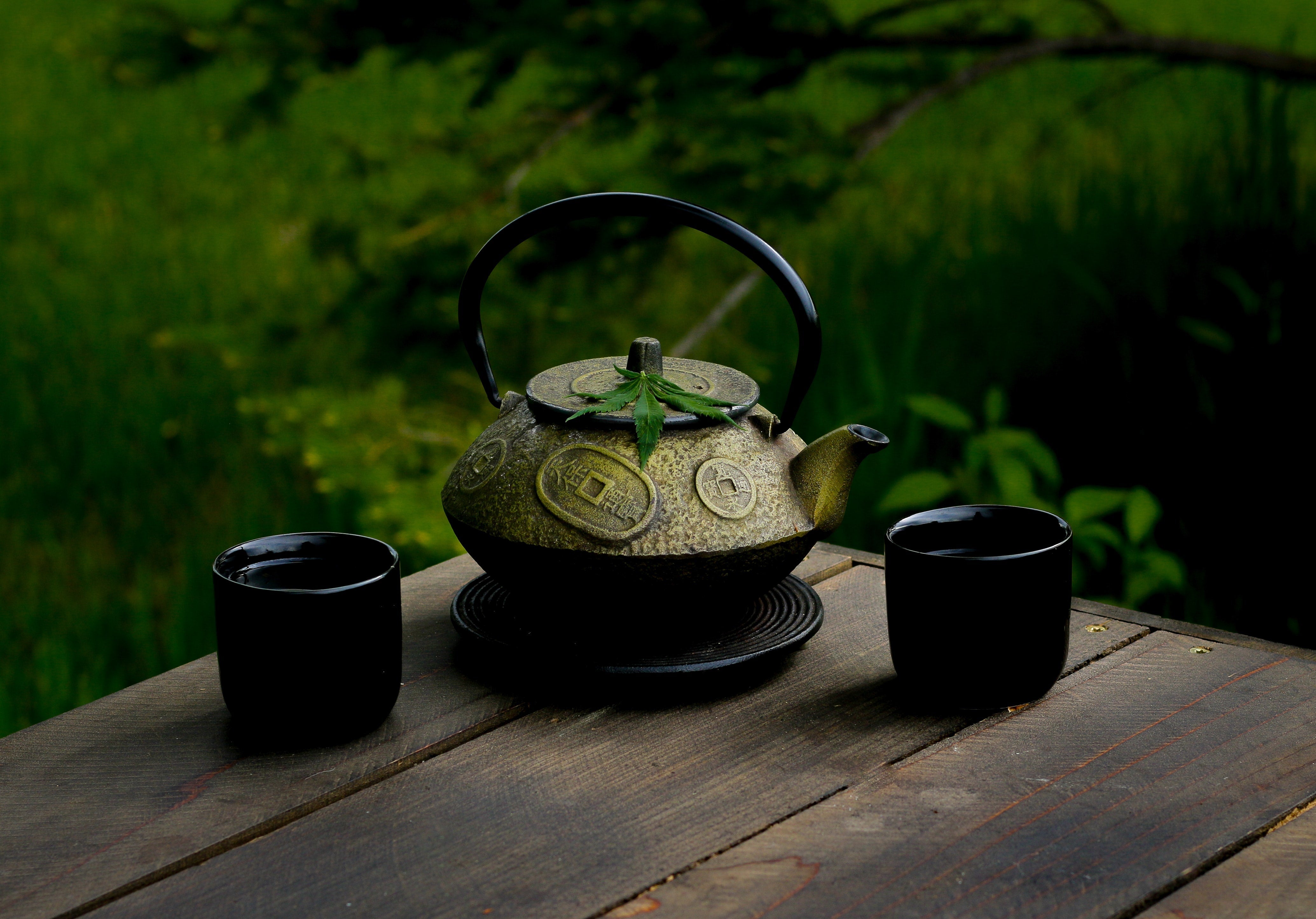 Why Is It Important to Choose The Right Teacup?