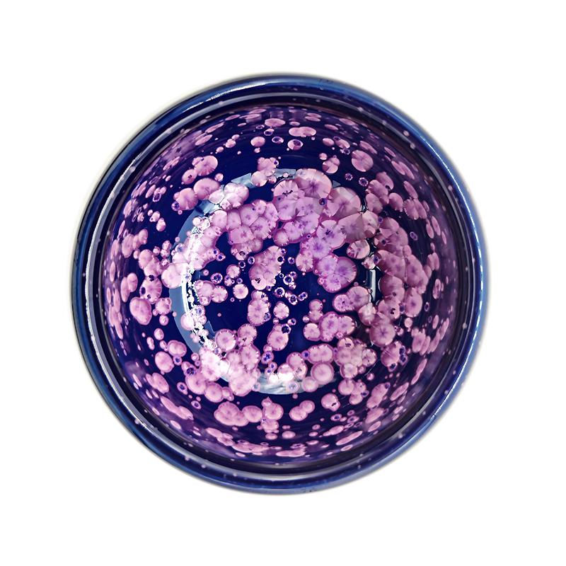Art Tea Cup JianZhan Tenmoku Teacup Blossom