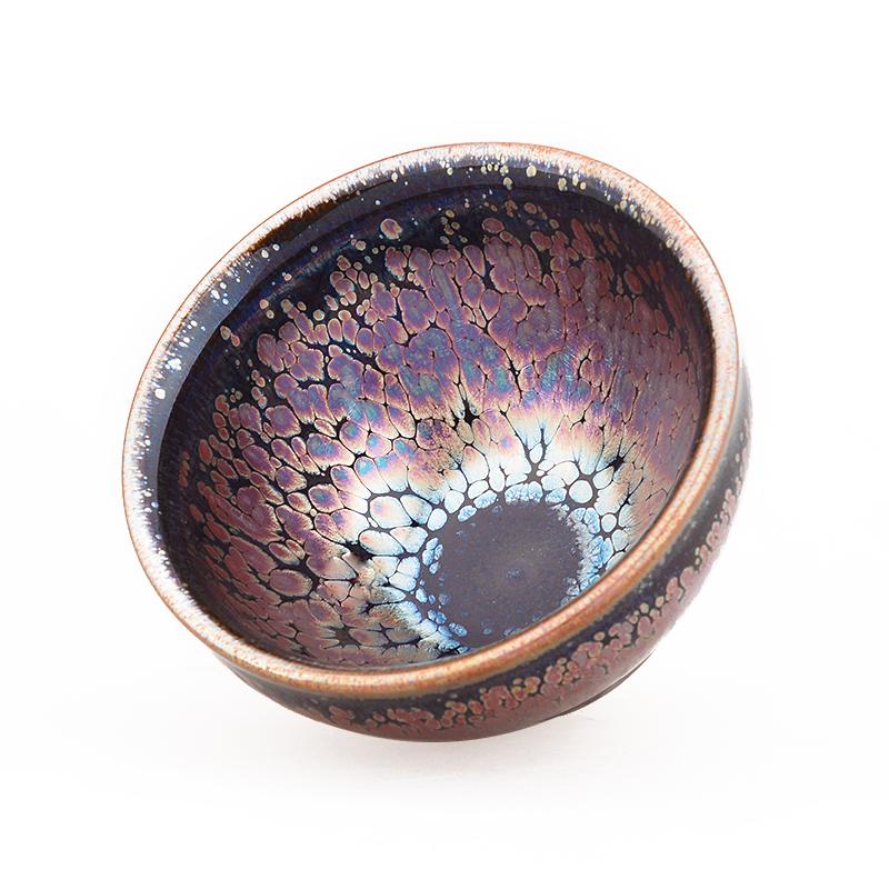 Art Tea Cup JianZhan Tenmoku Teacup Succulent