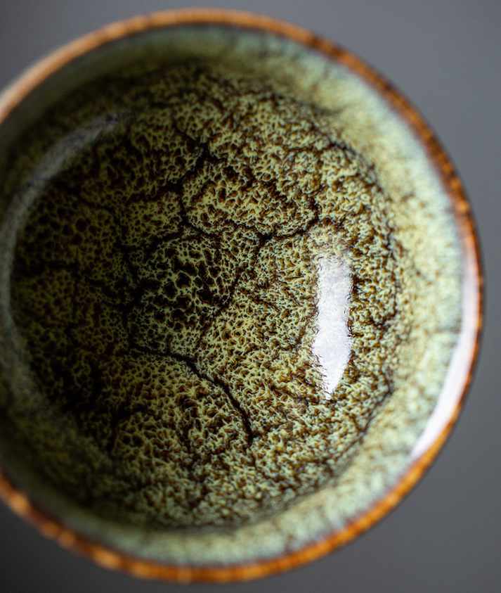Art Tea Cup JianZhan Tenmoku Teacup Spring