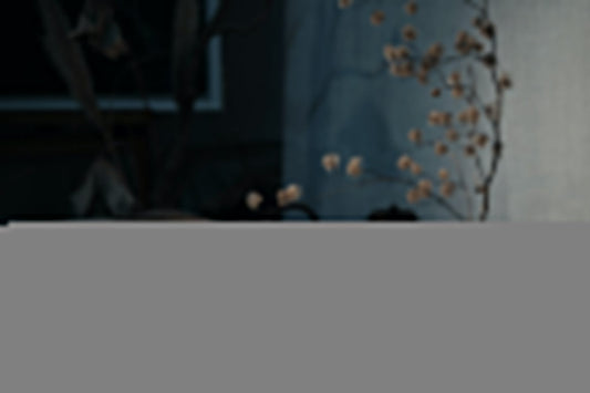 Gongfu Tea Brewing Introduction