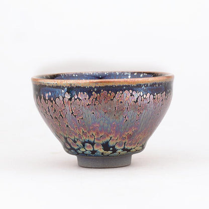 Art Tea Cup JianZhan Tenmoku Teacup Succulent