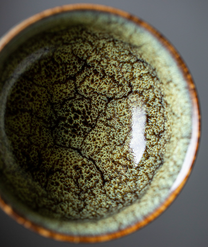 Art Tea Cup JianZhan Tenmoku Teacup Spring