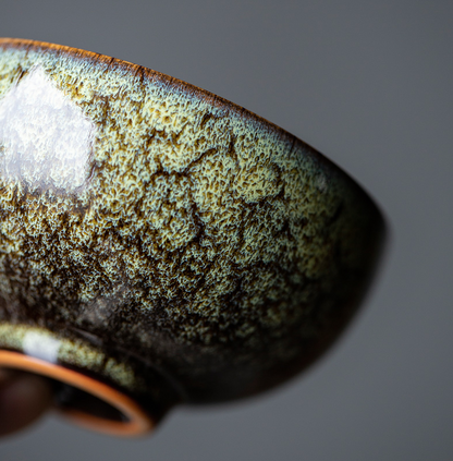 Art Tea Cup JianZhan Tenmoku Teacup Spring
